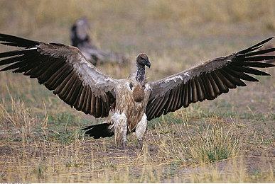 《夜回三》10月27日亚洲上线 支持简体中文